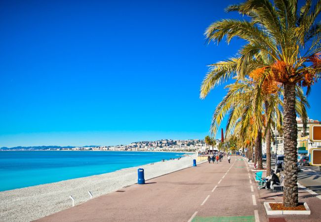 Frühlingserwachen an der Côte d'Azur